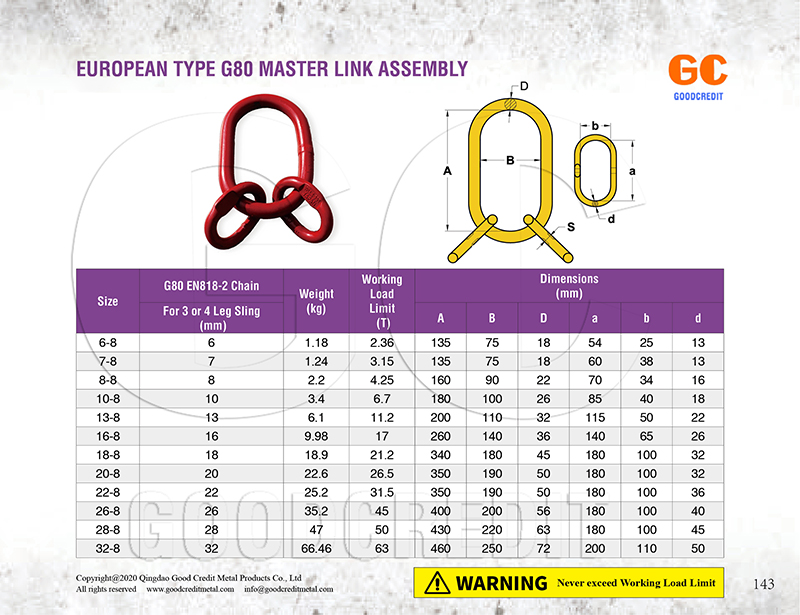 European Type Master Link Assembly Catalogue 800.jpg